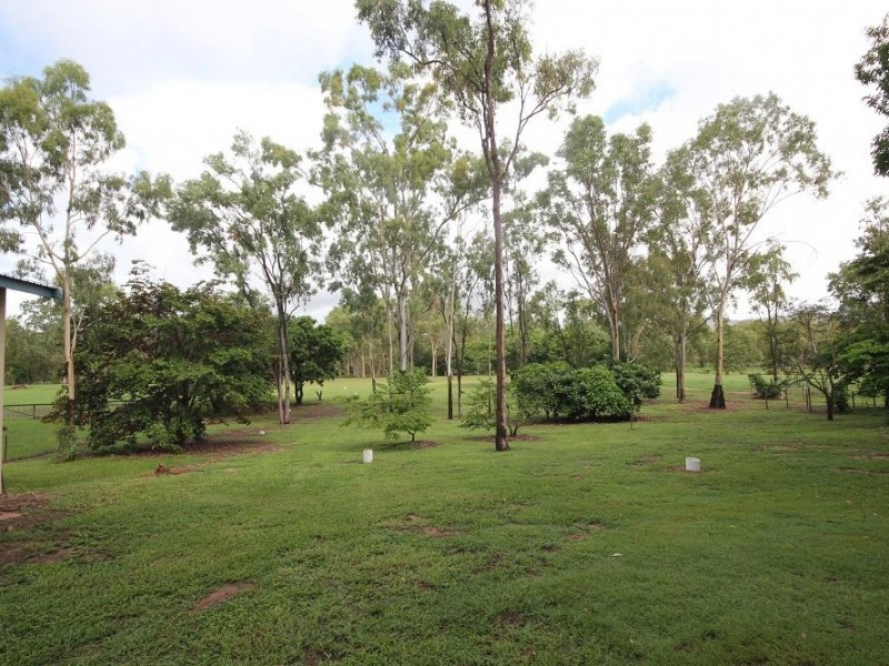 388 Forestry Road, Bluewater QLD 4818