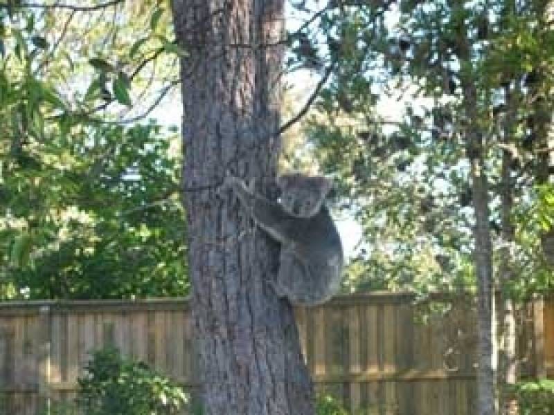 14 Yalinbah Street, Tea Gardens NSW 2324