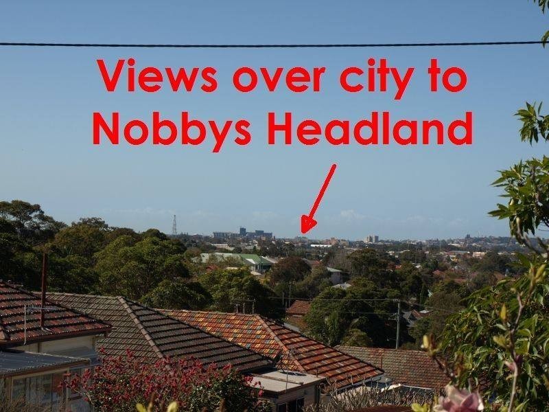 52 Watson Street, New Lambton NSW 2305