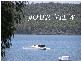33 Eastslope Way, North Arm Cove NSW 2324