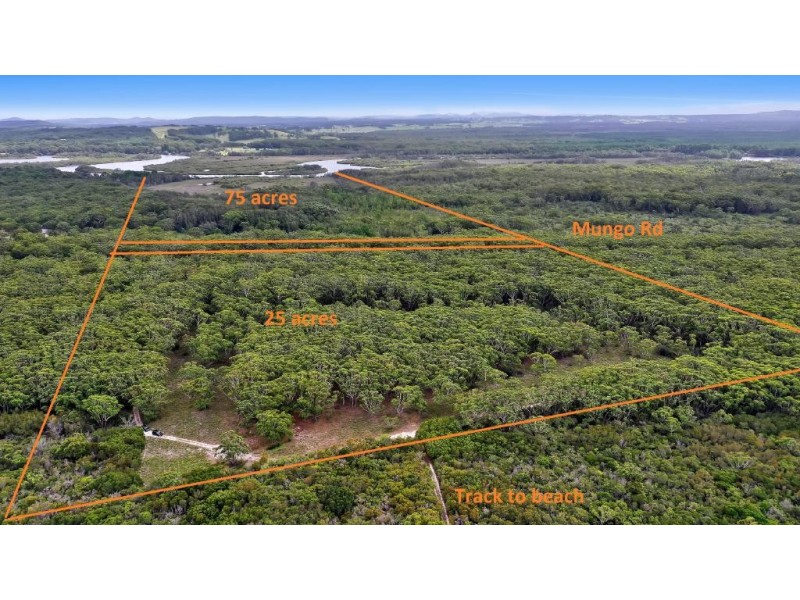 377 Mungo Brush Road, Hawks Nest NSW 2324