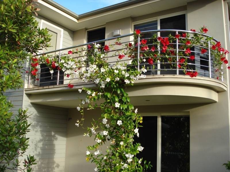 Hawks Nest NSW 2324