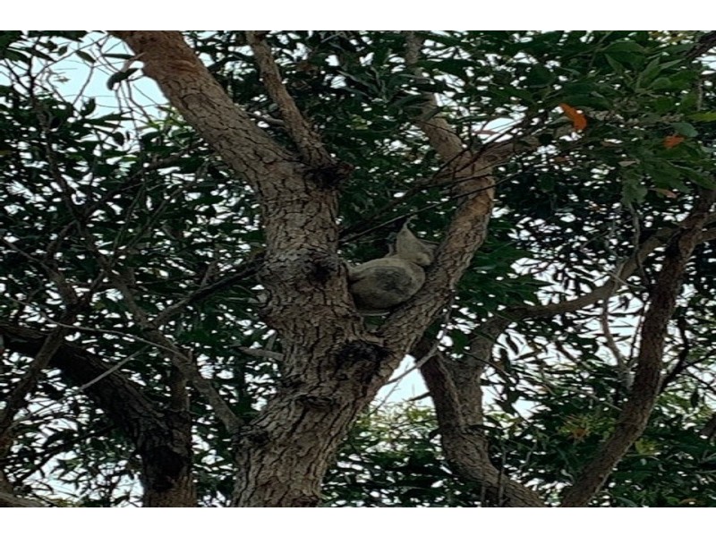 2/6 Muneela Avenue, Hawks Nest NSW 2324