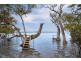 46 Bayview Road, Tea Gardens NSW 2324