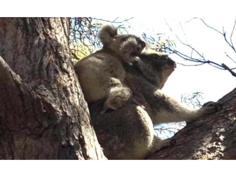 65 Booner Street, Hawks Nest NSW 2324