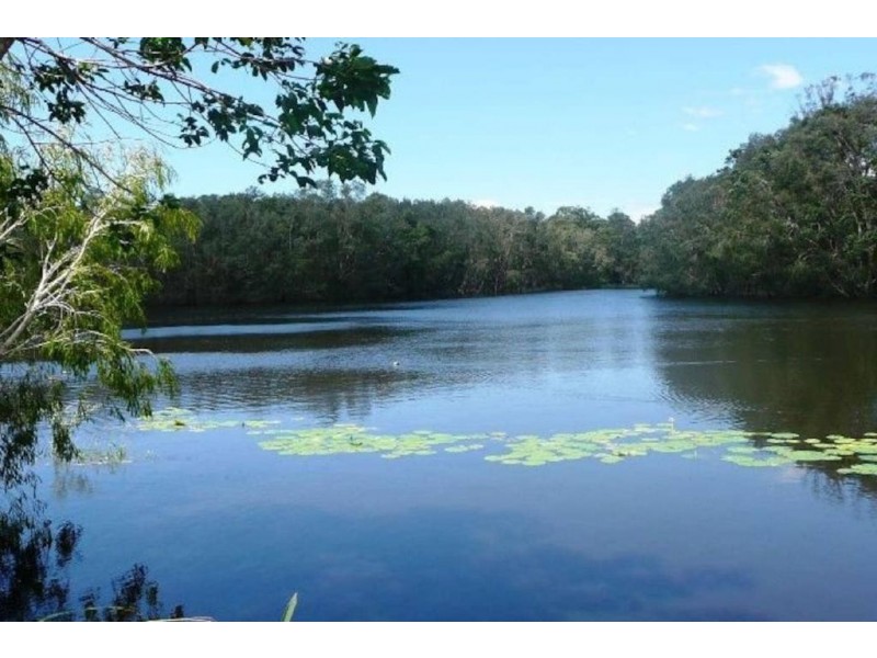 56 Tamarind Avenue, Bogangar NSW 2488