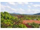 8 Tweed Coast Road, Hastings Point NSW 2489
