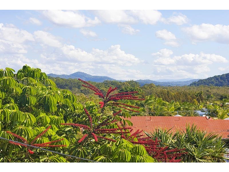 8 Tweed Coast Road, Hastings Point NSW 2489