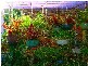 Beachmere QLD 4510