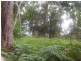 Bowen Mountain NSW 2753