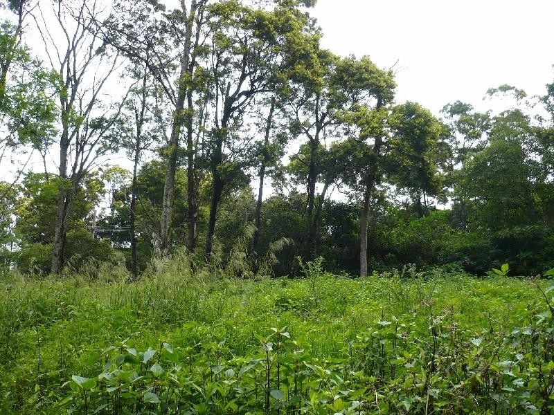 Kurrajong Heights NSW 2758