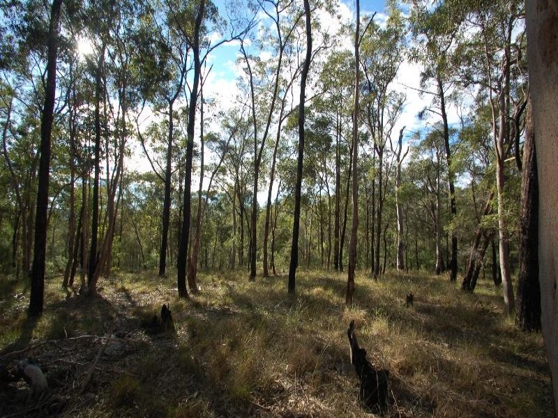 East Kurrajong NSW 2758