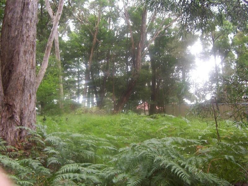 Bowen Mountain NSW 2753