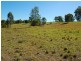 Kurrajong NSW 2758
