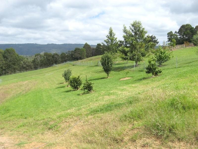 Kurrajong NSW 2758