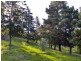 Grose Vale NSW 2753