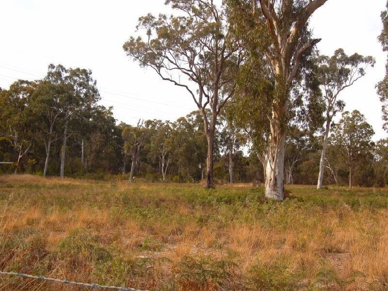 Putty NSW 2330