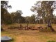 Putty NSW 2330