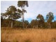 Putty NSW 2330