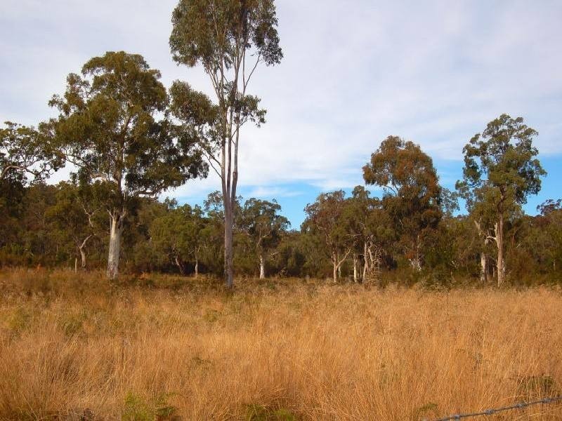 Putty NSW 2330