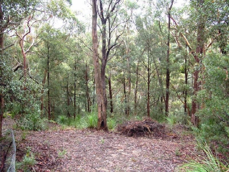 Kurrajong Heights NSW 2758
