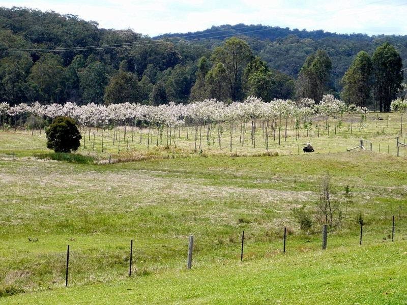 Putty NSW 2330
