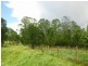 Grose Wold NSW 2753