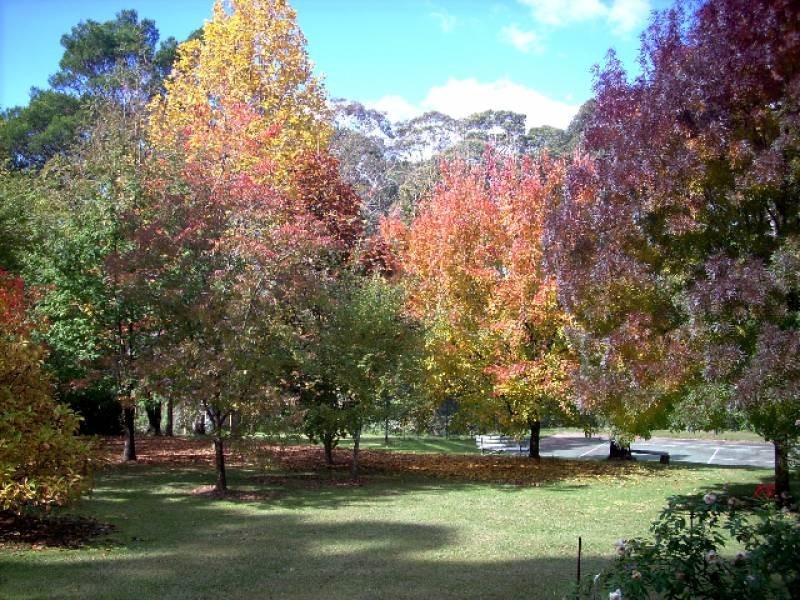 Bilpin NSW 2758