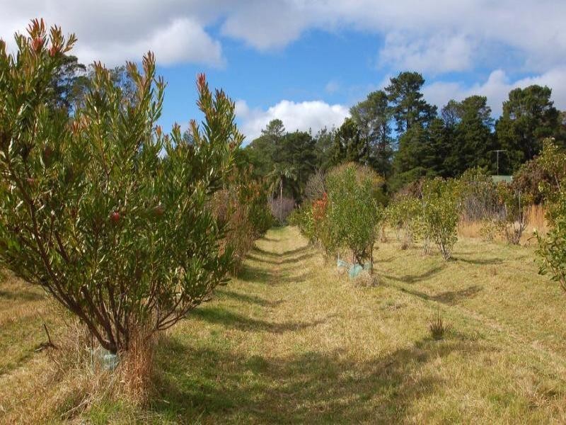 Kurrajong Heights NSW 2758