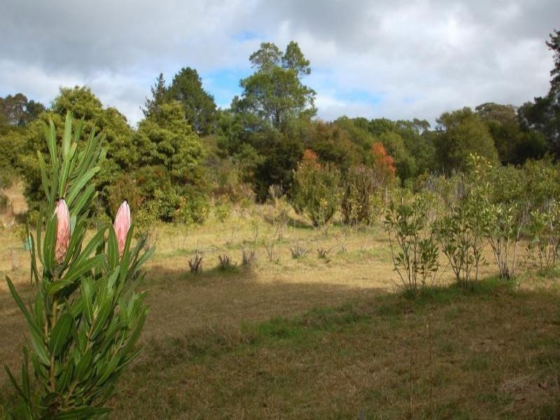 Kurrajong Heights NSW 2758