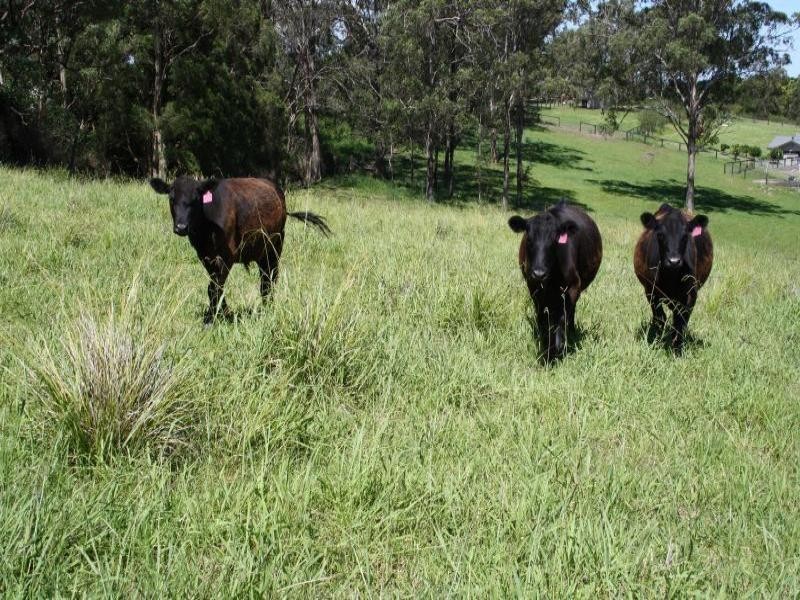 Kurrajong NSW 2758