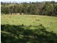 Kurrajong NSW 2758