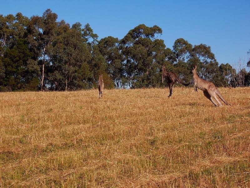 East Kurrajong NSW 2758