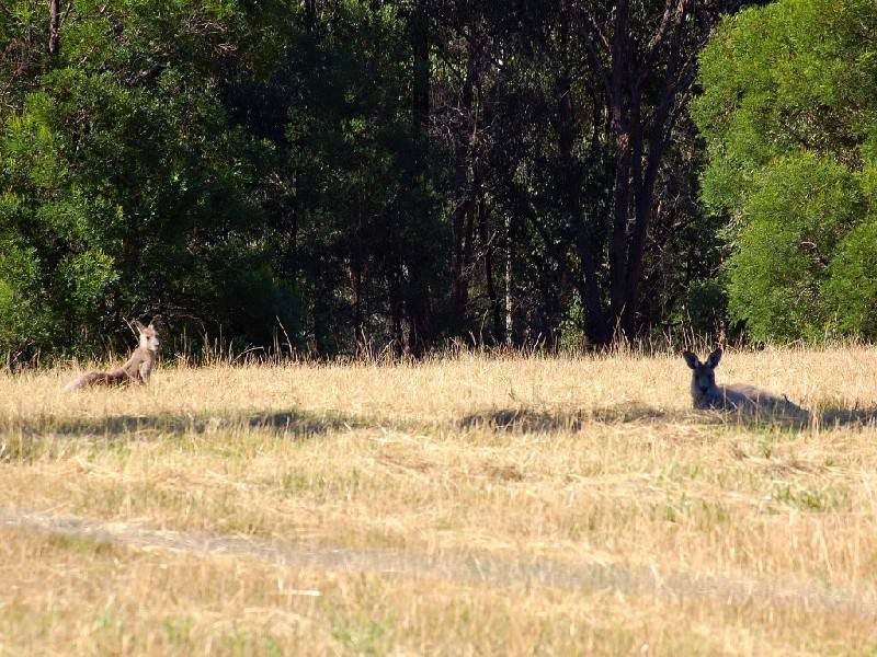 East Kurrajong NSW 2758