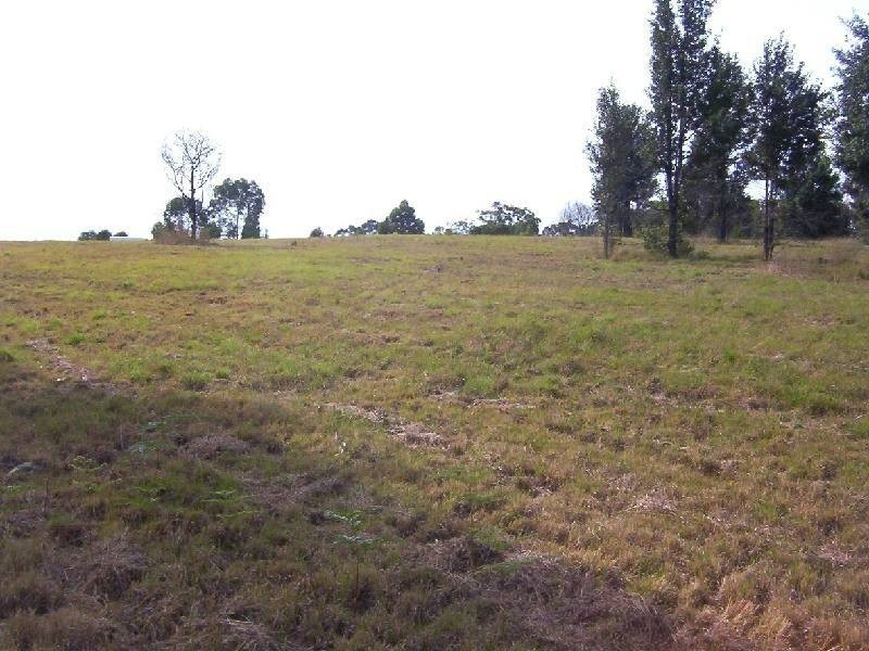 Kurrajong NSW 2758