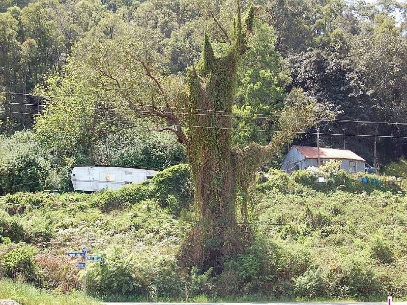 Wisemans Ferry NSW 2775