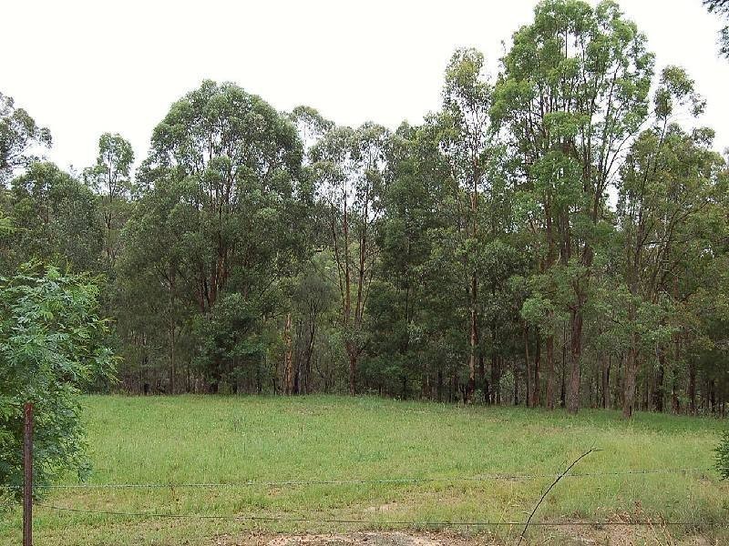 East Kurrajong NSW 2758