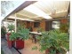 Freemans Reach NSW 2756