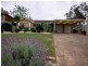 Bligh Park NSW 2756