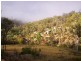 Putty NSW 2330