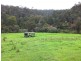 Putty NSW 2330