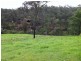 Putty NSW 2330