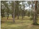 Londonderry NSW 2753