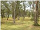 Londonderry NSW 2753