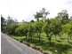 Sancrox NSW 2446
