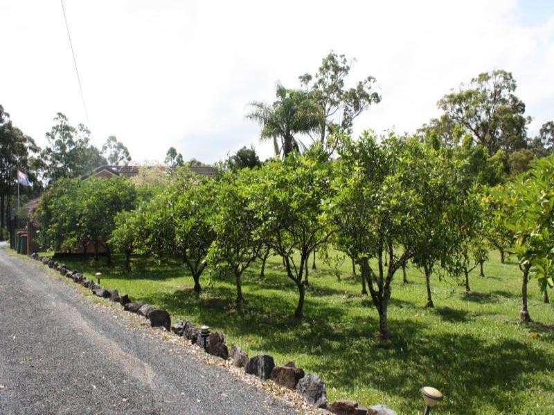 Sancrox NSW 2446