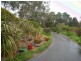 Kurrajong Heights NSW 2758