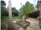 Mcgraths Hill NSW 2756