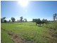 Riverstone NSW 2765