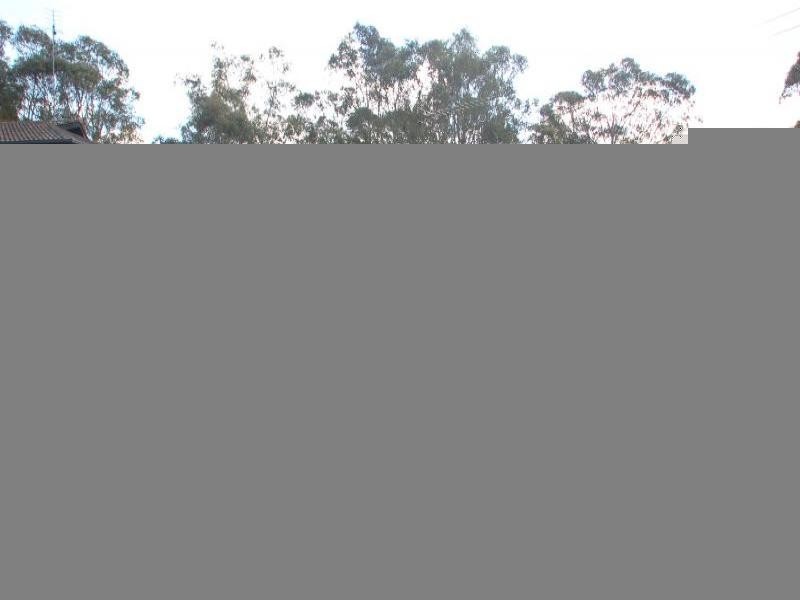 Glossodia NSW 2756